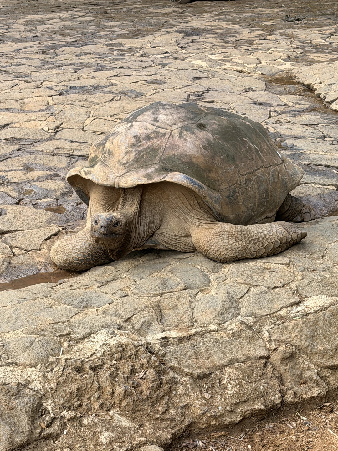 Отличная экскурсия. Дарья - великолепный гид, рассказывала все очень интересно, все локации на экскурсии красивые, никто