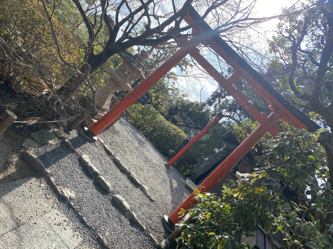 Это был великолепный день в Киото! Елена подстроила всю программу осмотра города под наши возможности (у