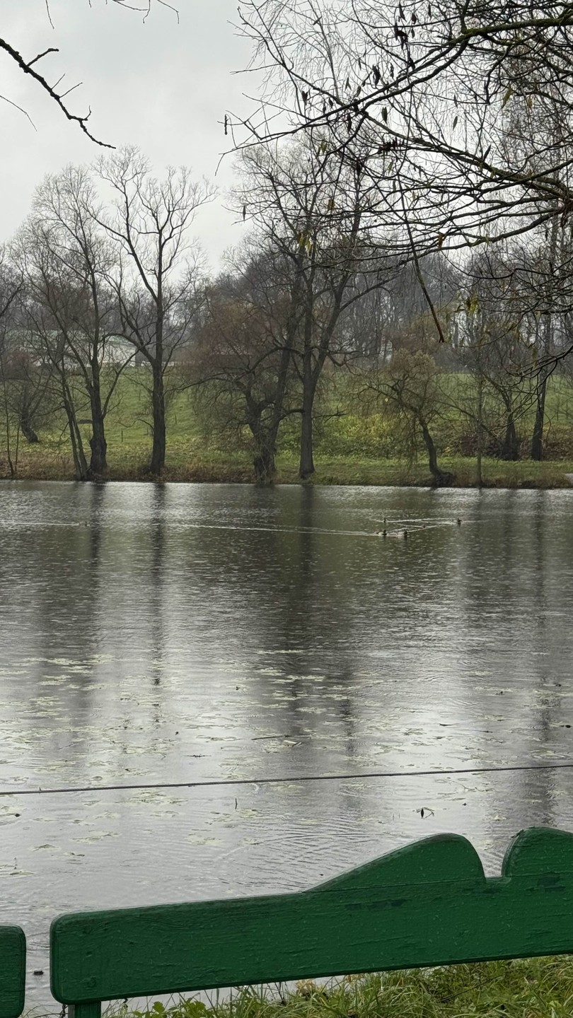 Под сильным впечатлением от экскурсии в Ясную поляну. Елена очень интересно ведет экскурсию, много библиографической информации