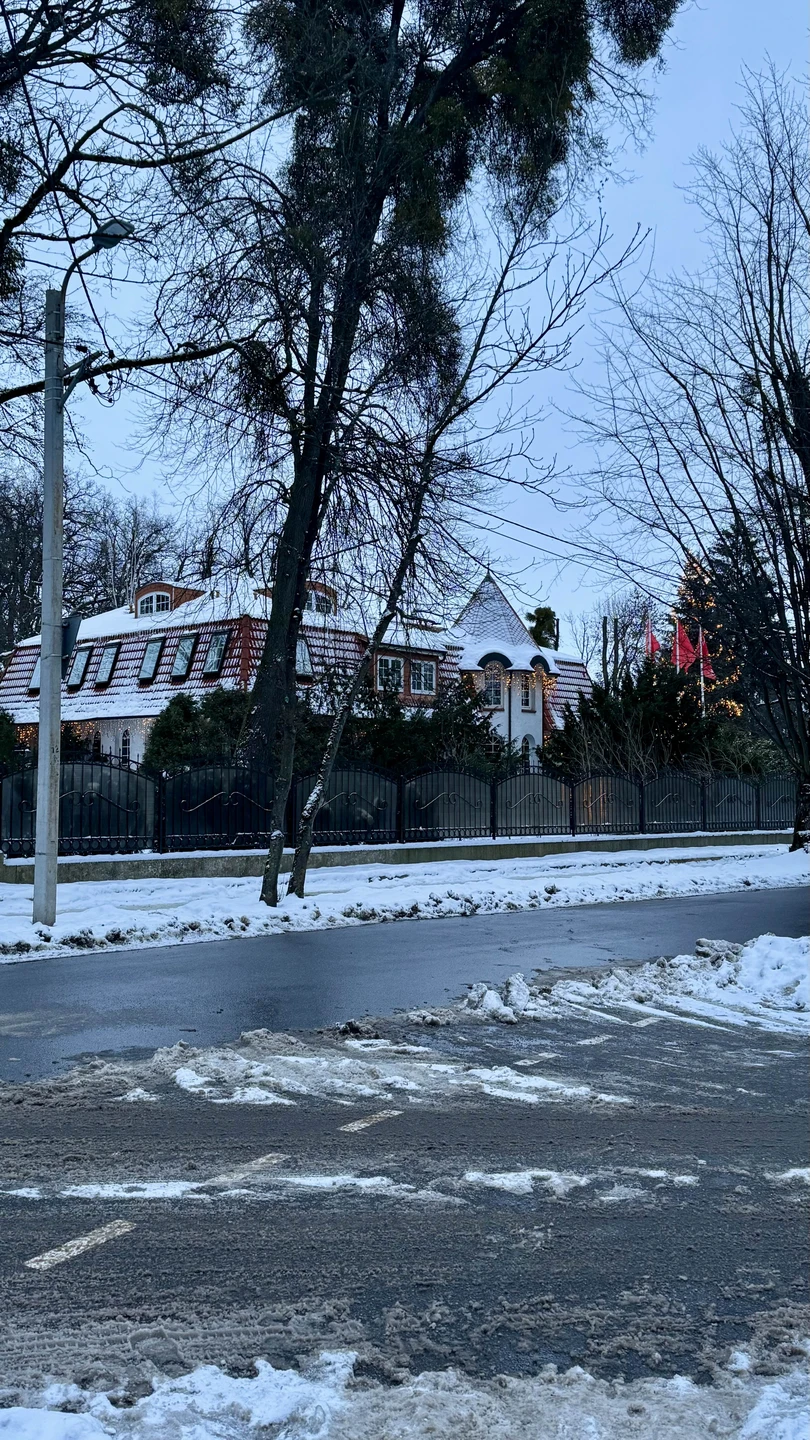 Авторская экскурсия по Амалиенау с его жителем (Диана)