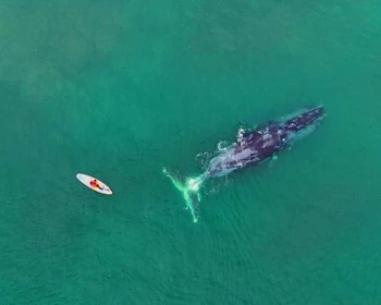 Морская прогулка в бухте Врангеля