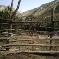 Фото отзыва 3: экскурсия "Сулакский каньон: незабываемый день в Дагестане"