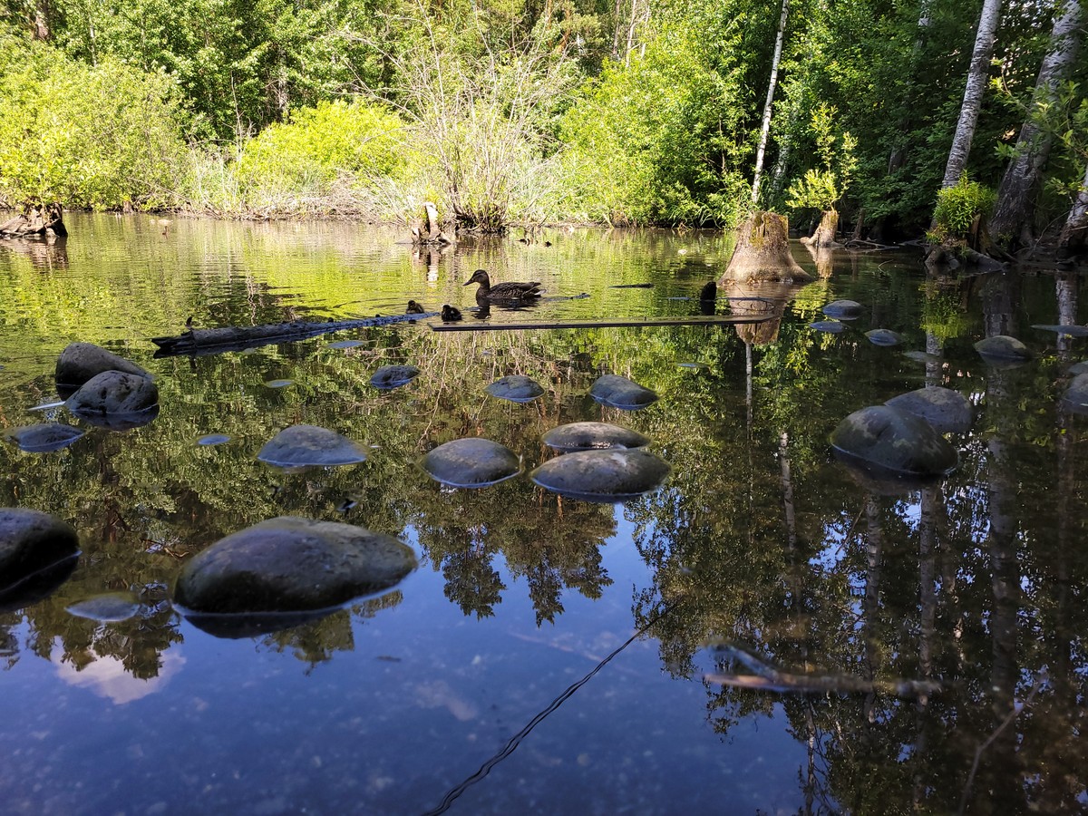 Академгородок: наука и жизнь 21 века (11/12)