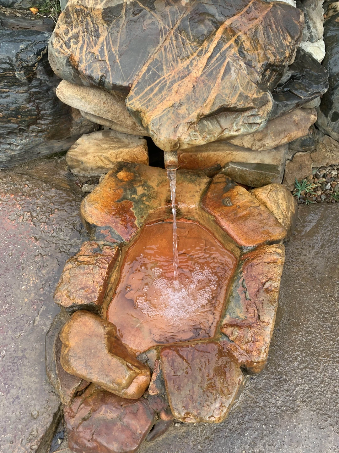 Путешествие в горную Долину нарзанов (Анастасия)