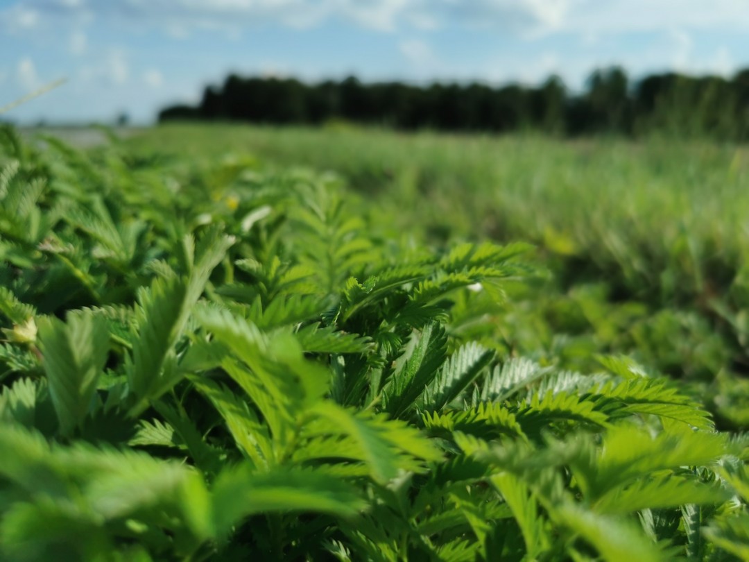 Красивые места, где нет людей