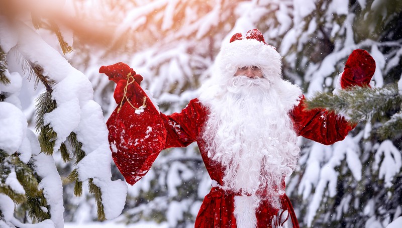 Величие Севера: из Москвы на поезде в Карелию, Архангельскую и Вологодскую области