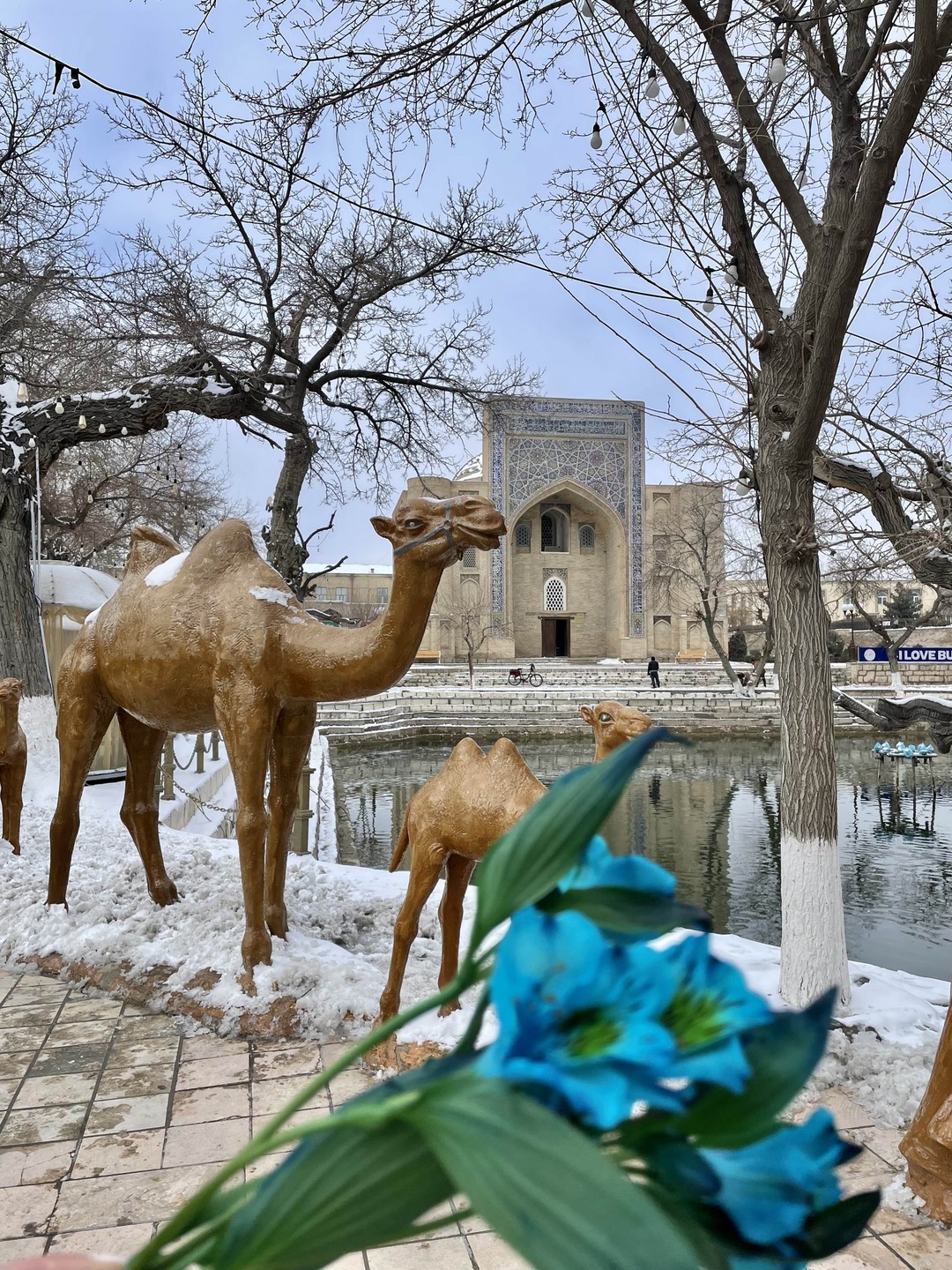 Была в туре Ташкент-Самарканд-Бухара 06-12.02.25г. Организатор тура,Аврам, сам из Самарканда. Организовано все на высшем уровне. Трансфер,