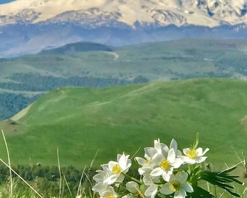 Баксанское ущелье, поляны Нарзанов и Азау, Эльбрус