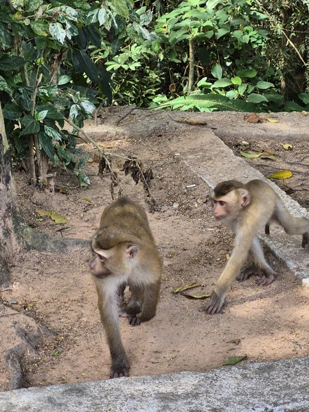 Благодарим Леонида за чудесно проведённое время! Успели посмотреть очень многое: красивые пейзажи, архитектурные сооружения, узнать исторические
