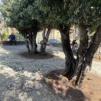 Фото отзыва 2: экскурсия "Влюбиться в Старый город Антальи"