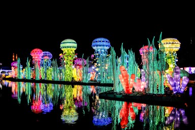 Тематический парк Dubai Garden Glow