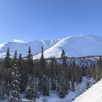 Фото отзыва 4: экскурсия "Секреты снежных вершин: из&nbsp;Мурманска&nbsp;— в&nbsp;Кировск и&nbsp;Хибины"
