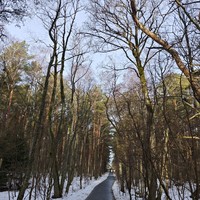 Фото отзыва 5: экскурсия ""