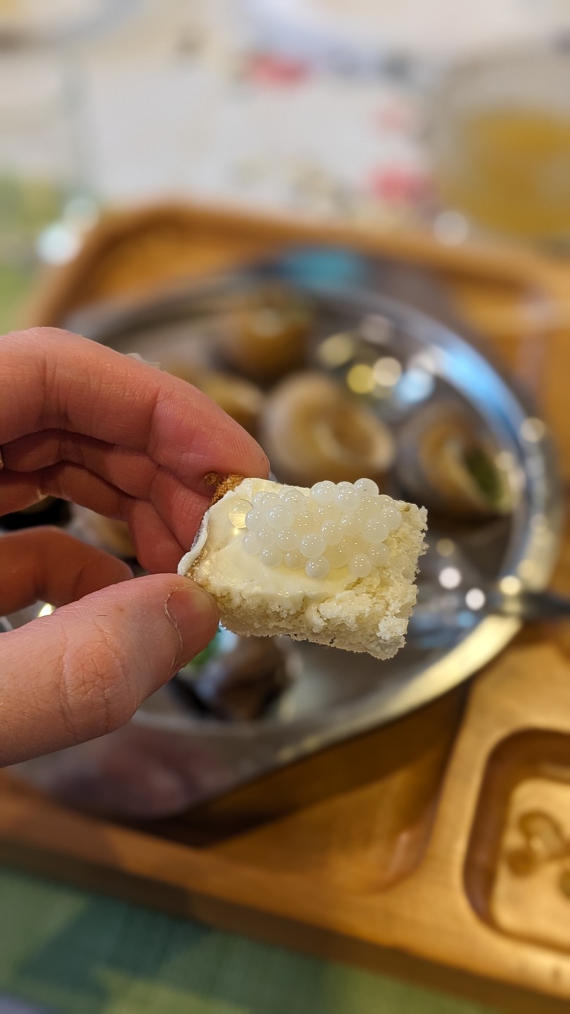 Очень интересная, оригинальная и вкусная экскурсия у Василия (он и задумщик, и организатор, и владелец улиточного