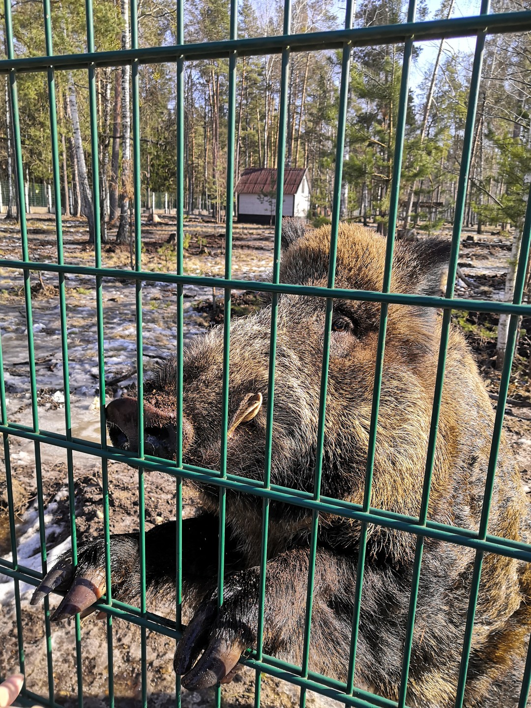 Спасибо огромное Екатерине за чудесную экскурсию! Очень рады, что выбрали именно ее формат! Дети и взрослые