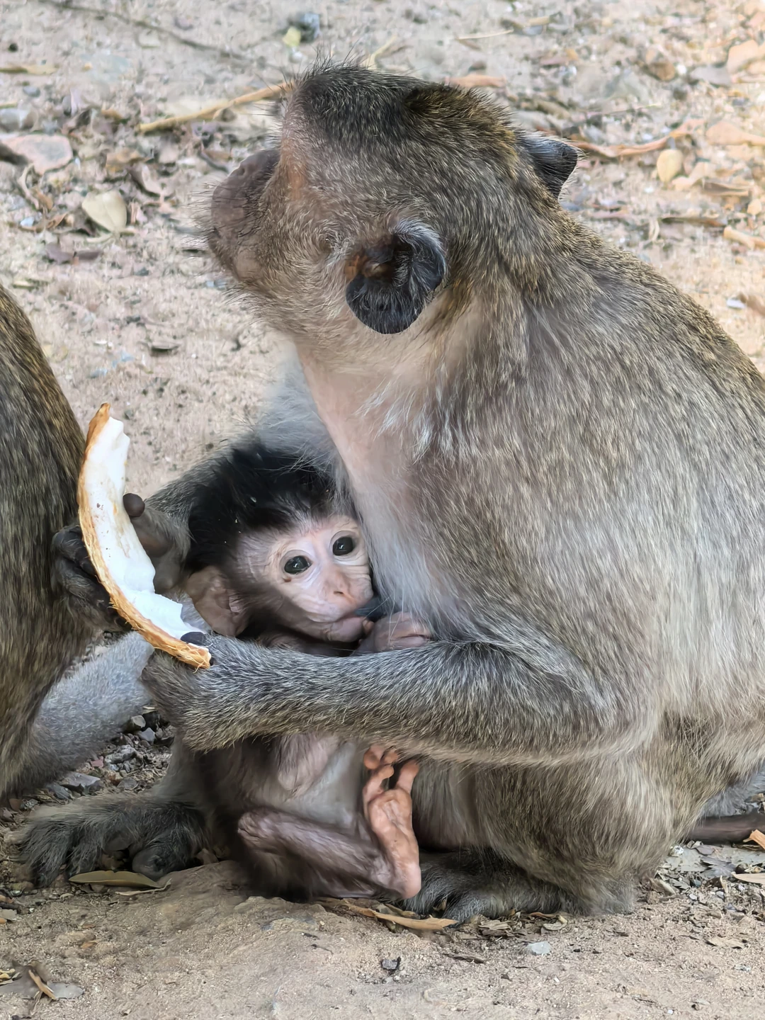 Экскурсия супер и сама по себе и по организации. Большое спасибо Татьяне и мистеру Сараченту за