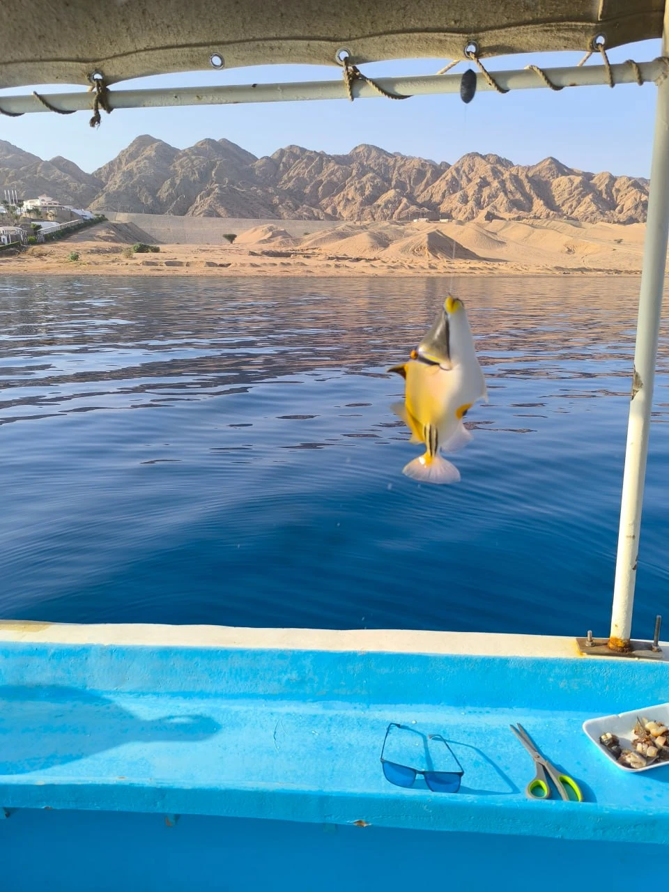 Валид сопровождал меня в процессе всей рыбалки: забрал из отеля на машине, погрузил на лодку, помогал