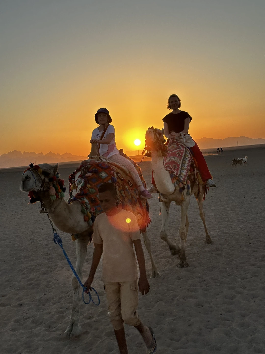 Ночная прогулка на верблюдах по-бедуински (Мария)