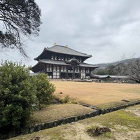 Фото отзыва 1: экскурсия "Киото — основные места старой столицы"