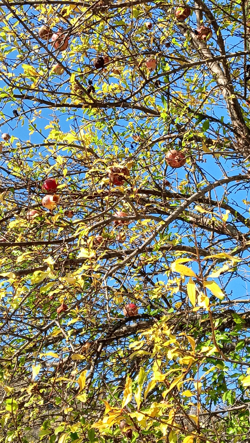 Очень понравилось. Михаил просто великолепно провел экскурсию, с большой любовью к своей Родине