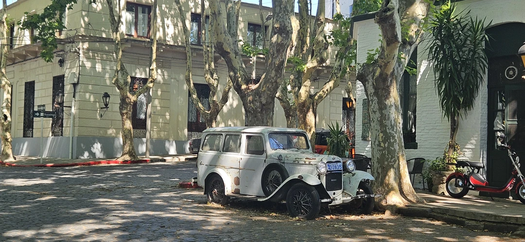Большое спасибо Елизавете за поездку! Все было организовано отлично. Городок Колония-дель-Сакраменто нам очень понравился и на