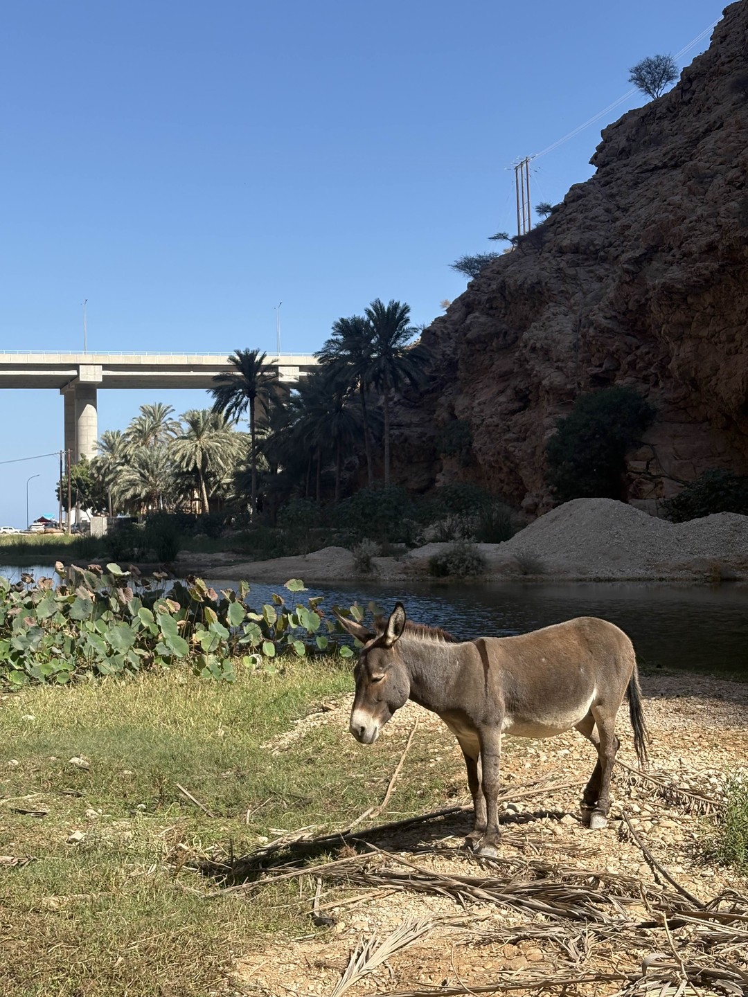 Поход по ущелью, купание в изумрудных озерцах и волшебный водопад в конце. Незабываемые эмоции и фантастические виды. Влюбились в это место!