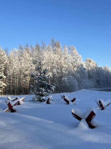 Были в конце января 2026.
