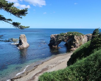 Мысы Птичий и Великан