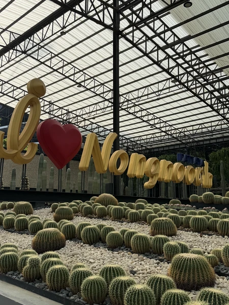 В первую очередь хочу сказать спасибо организатору Леониду - очень вежливый и хороший специалист. Помогал не