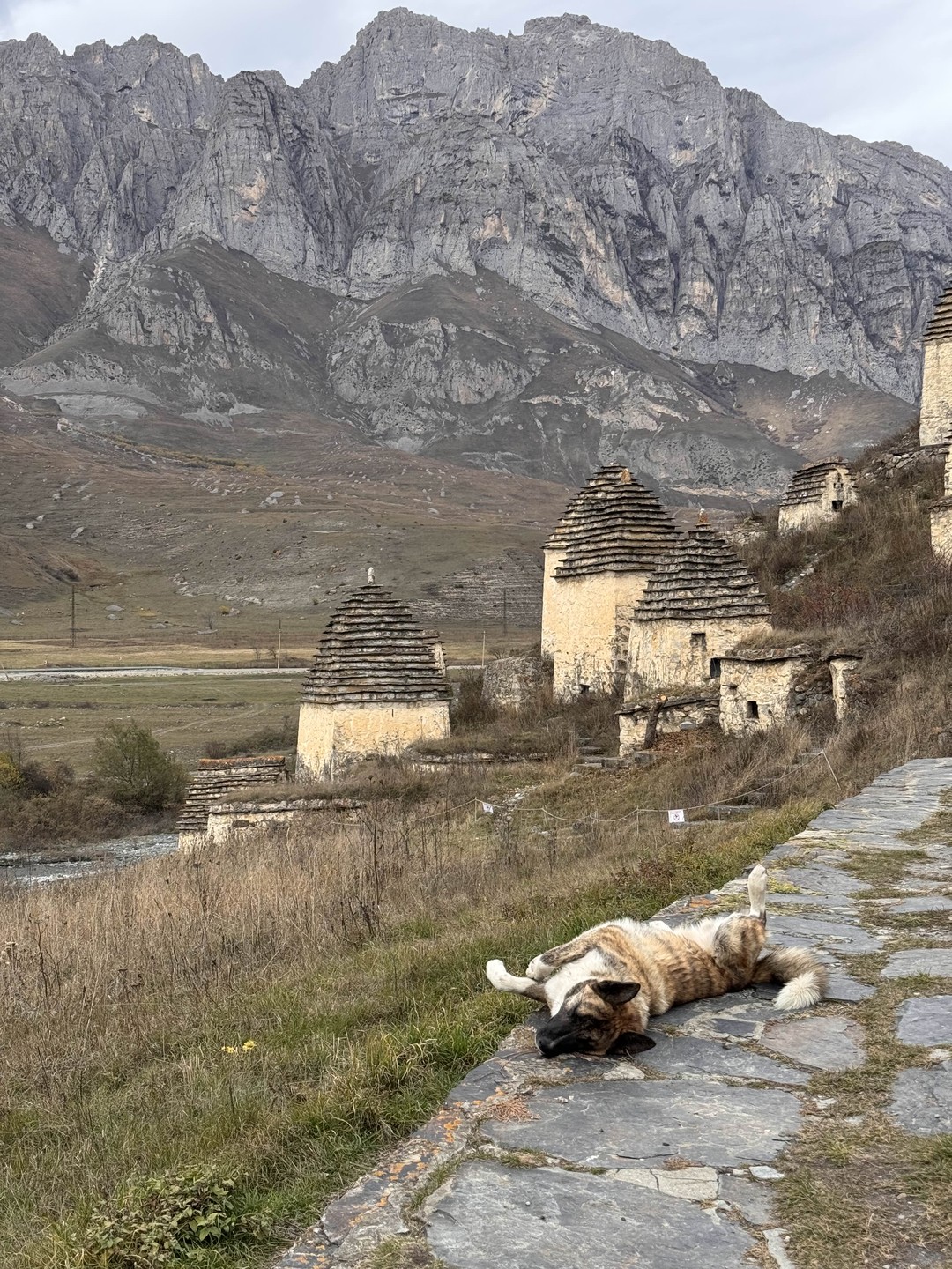 Джип-приключение «В сердце Осетии» (Дарья)