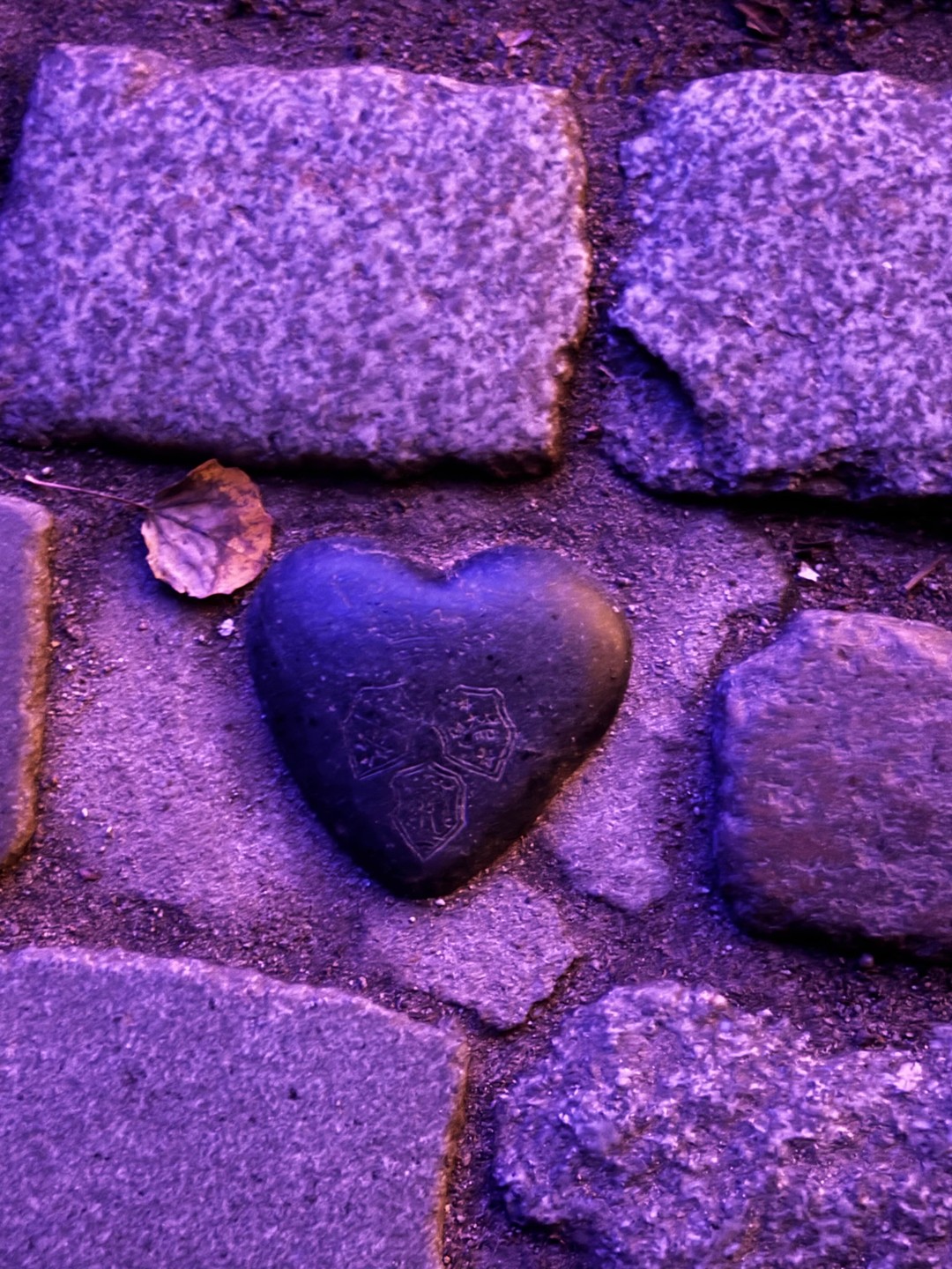 Кант и Гофман: два гения Кёнигсберга (в мини-группе) (Валерия)