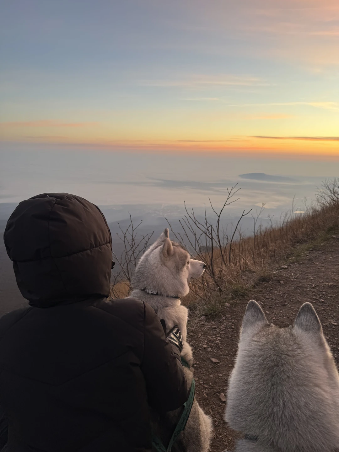 Это было прекрасно!