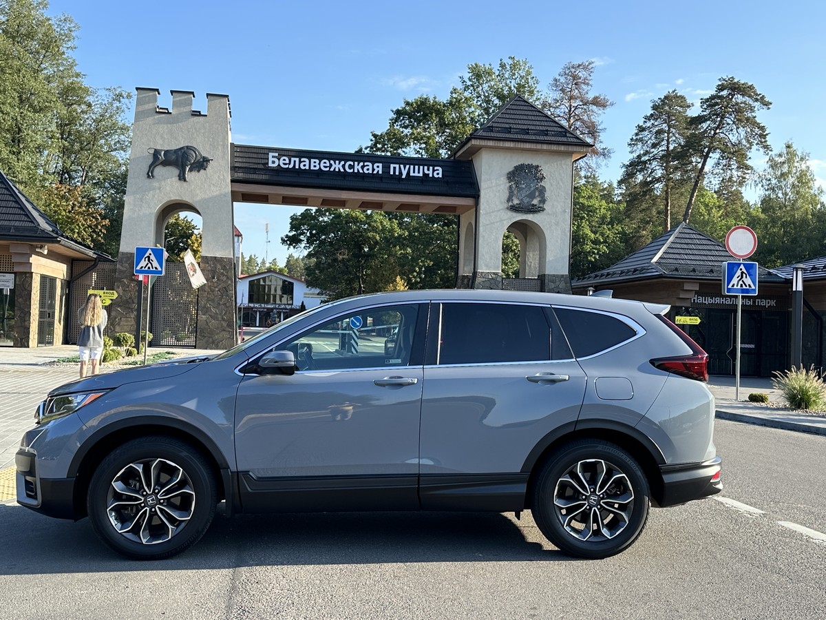 Главное изображение экскурсии - Трансфер из Бреста на экскурсию в Беловежскую пущу