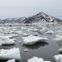 Фото отзыва 3: экскурсия "Те самые Тихая и Клоковский: мыс, водопад, янтарь, Тории, крабы"