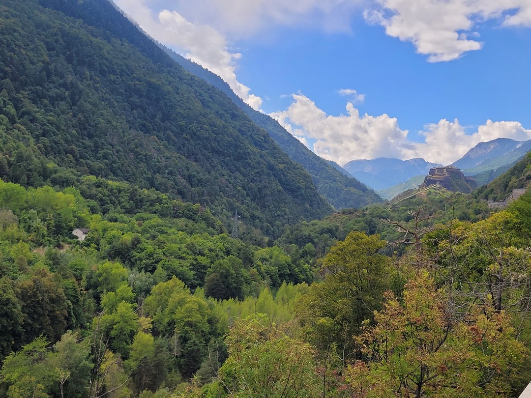 Запоздалый отзыв, но тем теплее воспоминания. Ирина, спасибо Вам большое, мы очень благодарны! Это одна из