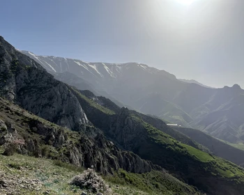 Чор-Чинор и дерево-школа