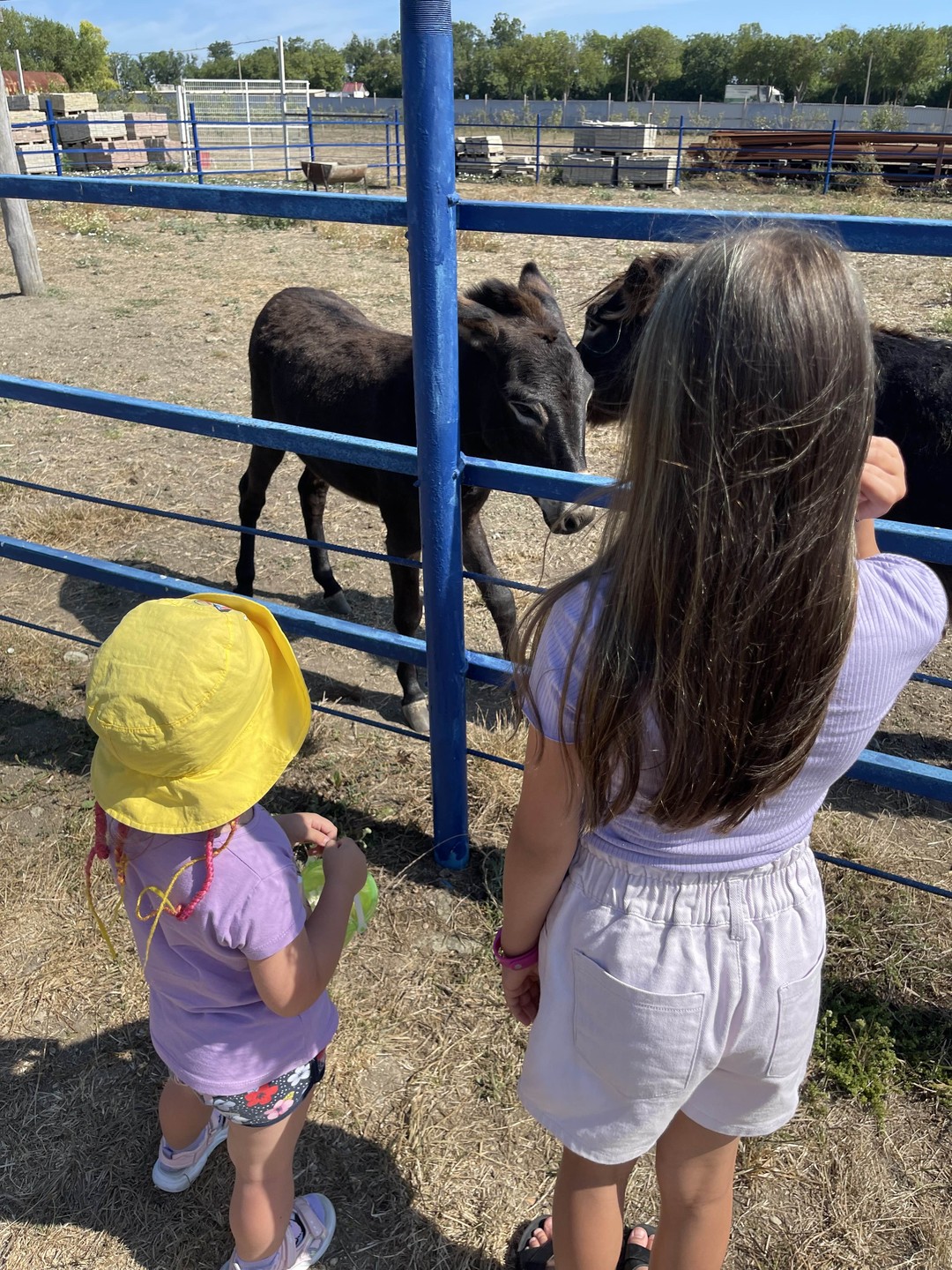 Детям 4 и 10 лет экскурсия понравилась, животных достаточно много, зоопарк для прогулок что надо! А