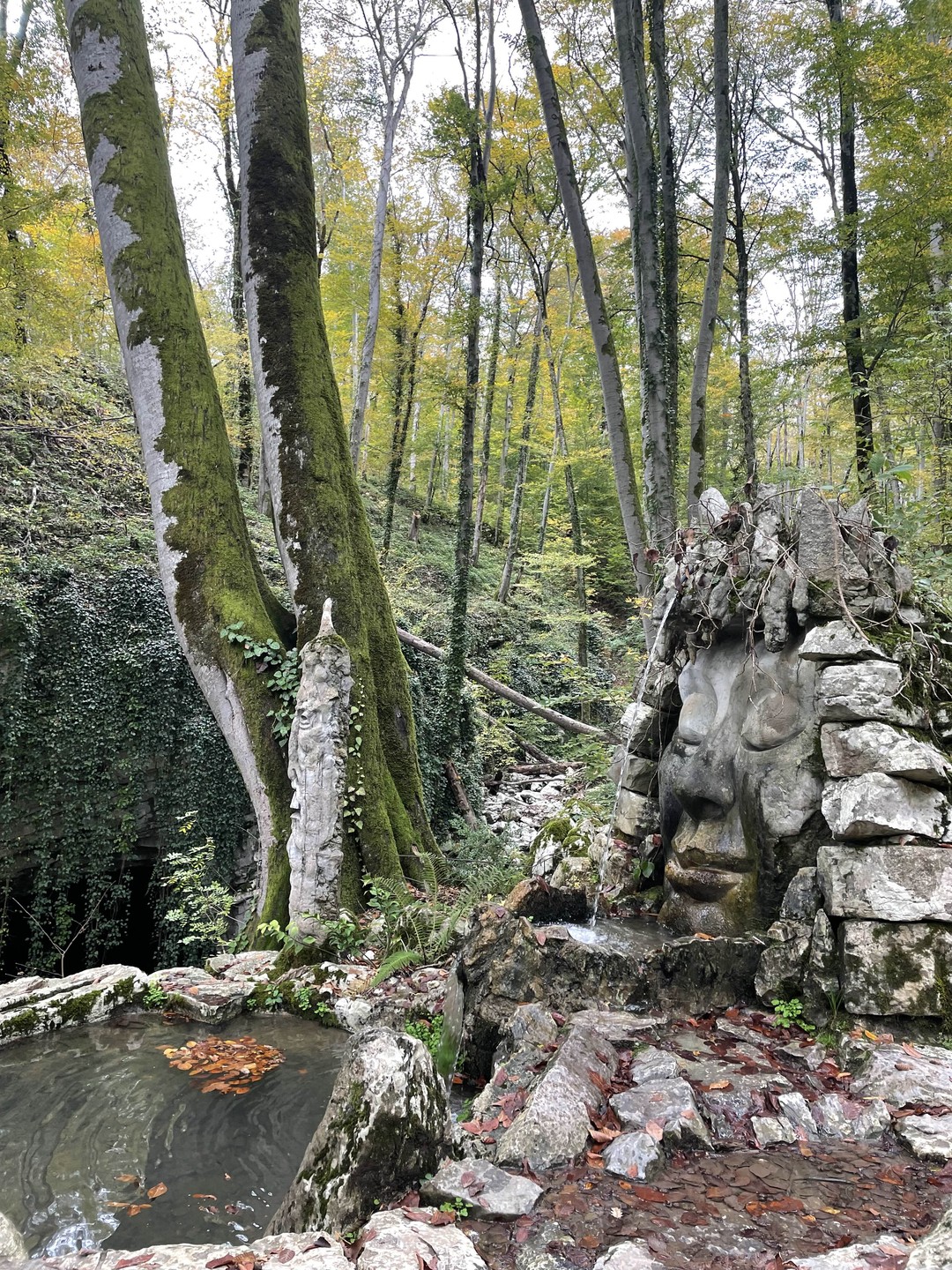 Сочи: по каньонам, пещерам и в самшитовый лес (Александра)