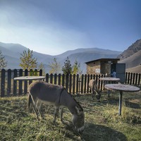 Отзыв о экскурсии "Парк Ала-Арча и горные ущелья за 1 день" — фото 7