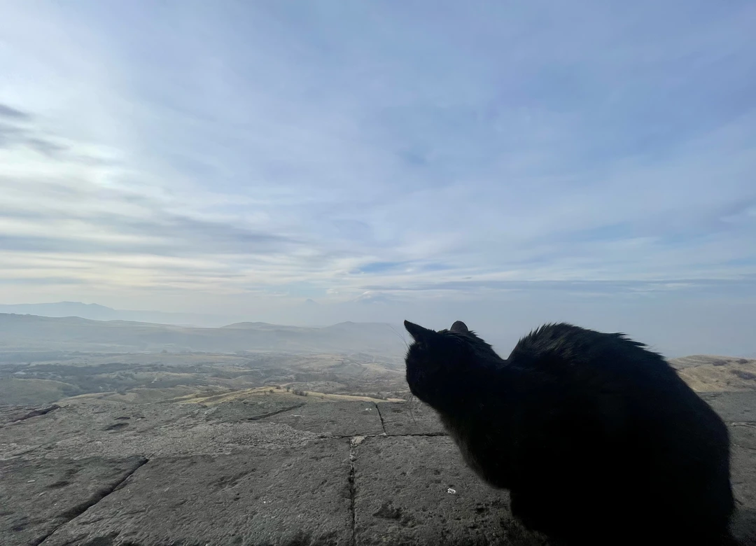 Конец декабря 2025 подарил ещё одну замечательную экскурсию — поездку в Гарни, Гегард и к озеру