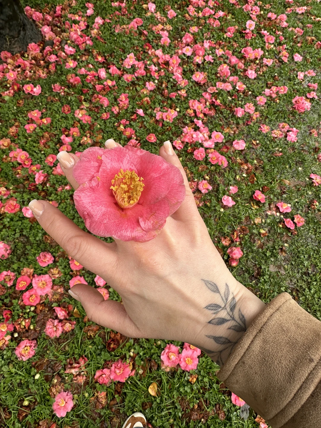 Если бы можно было поставить 10 звезд, они бы стояли 👌🏽