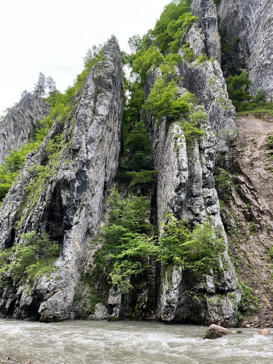 В целом поездка мне понравилась.