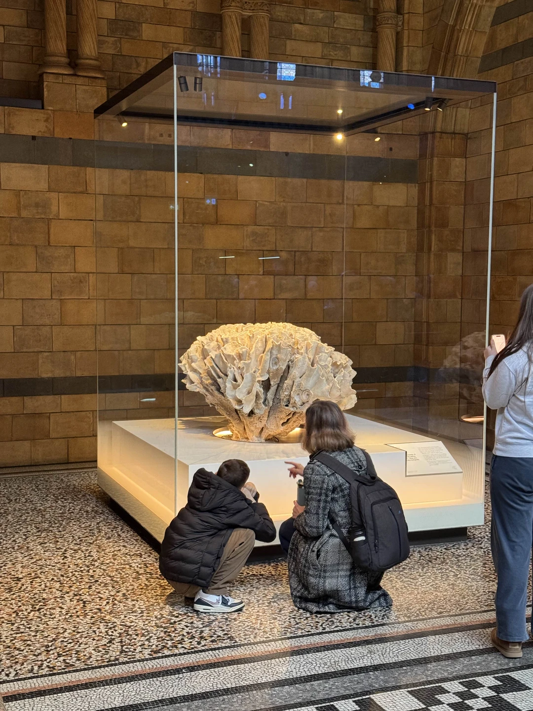 Экскурсия была ориентирована на ребенка и Вера прекрасно справилась с этой задачей. Гид очень быстро нашла