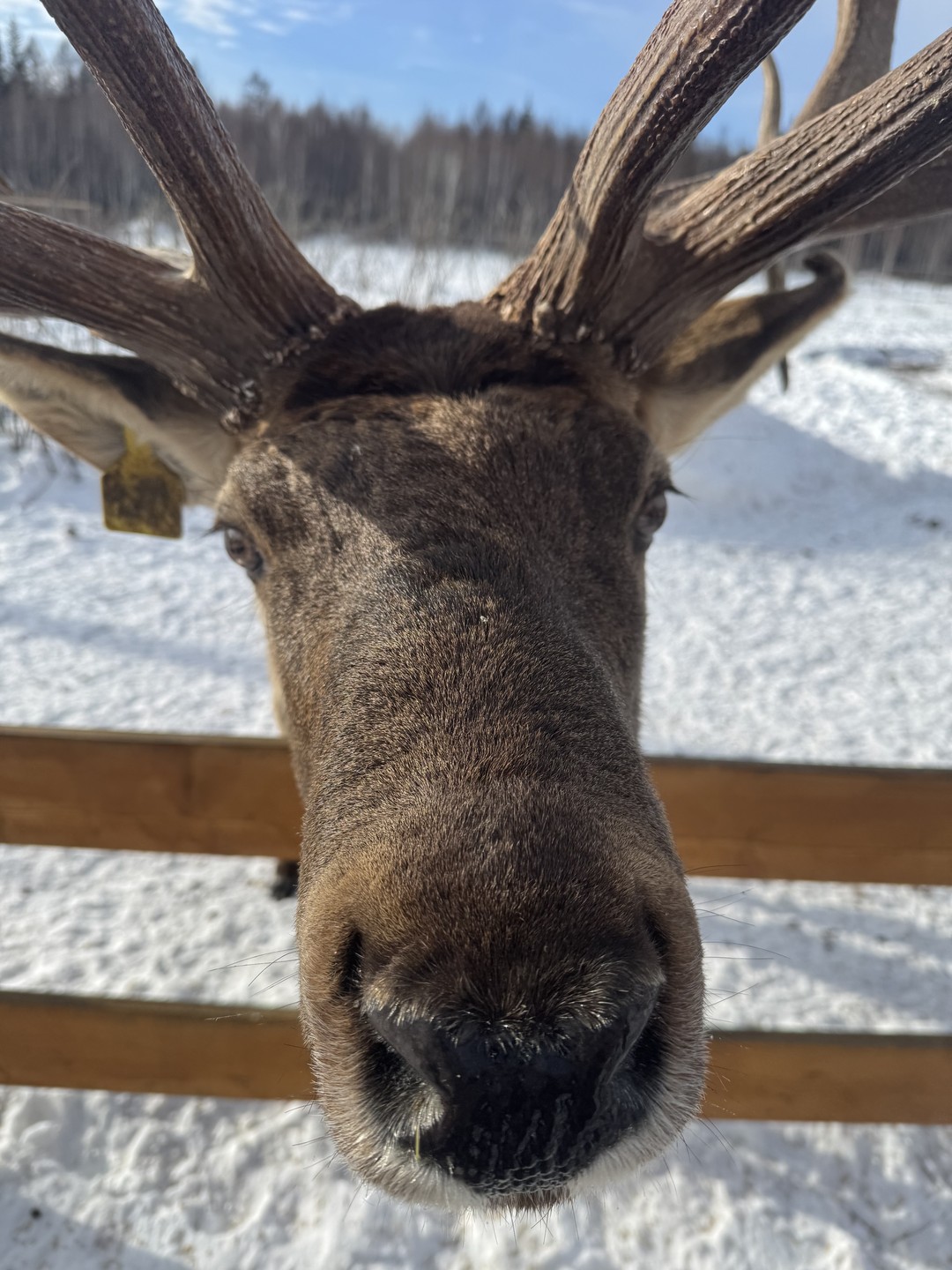 Все очень понравилось! Ездили с Александром. Забрал нас раньше с кафе около аэропорта, поэтому везде успели