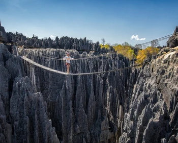 Большие и Малые Цинги