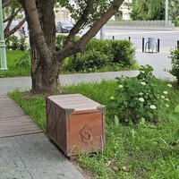Фото отзыва 3: экскурсия "Старо-Татарская слобода: мечети, старинные усадьбы и чаепитие"