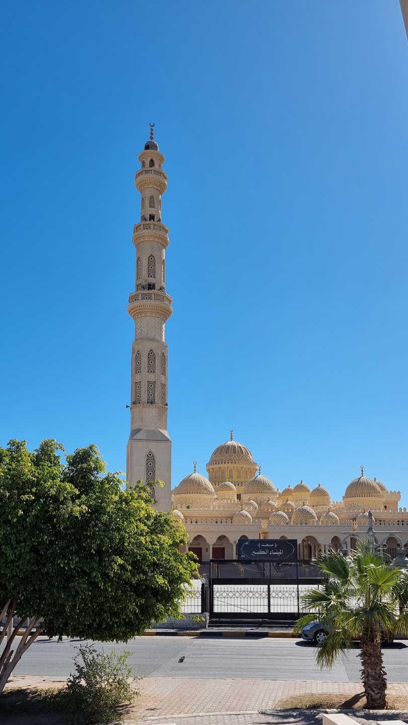 Хургада: самое главное за 5 часов (Антонина)