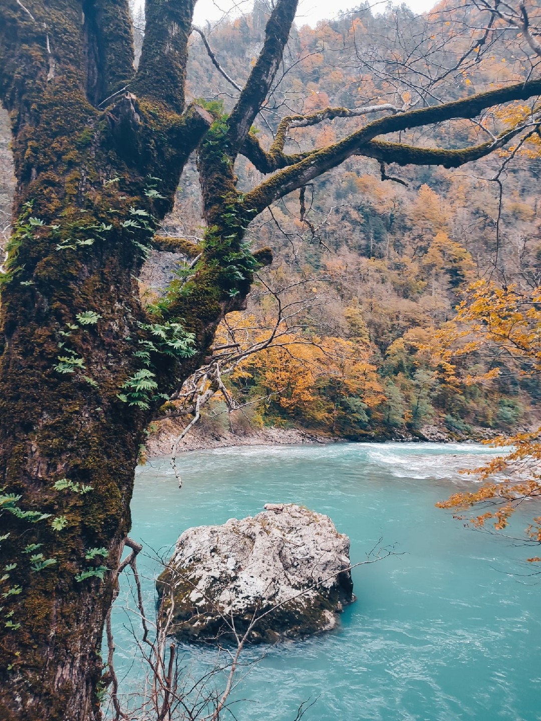 Абхазия Астой (так Астамур разрешил себя называть) это путешествие "для своих". Невероятная любовь к своей земле
