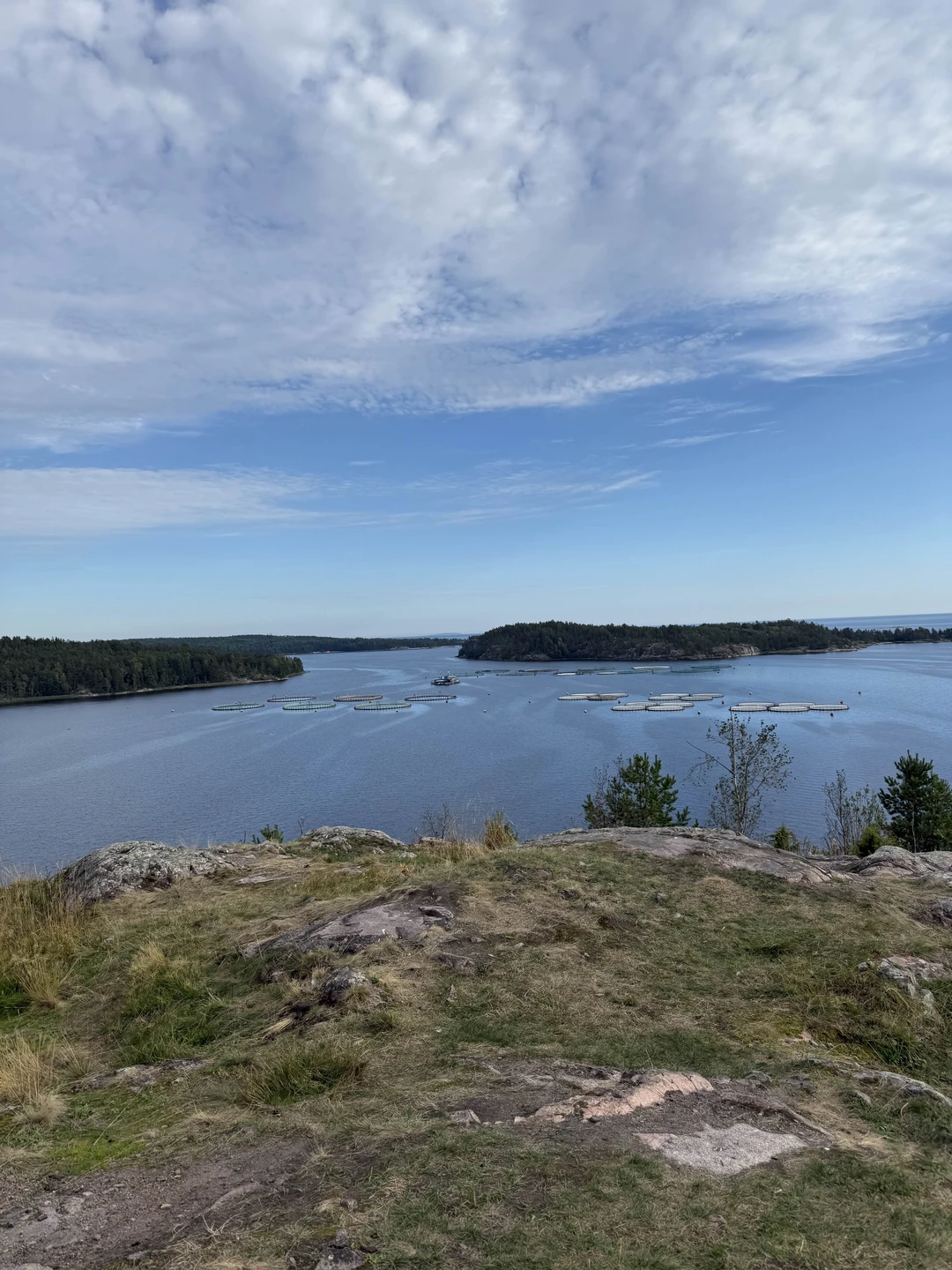 Место силы Карелии (Юли)