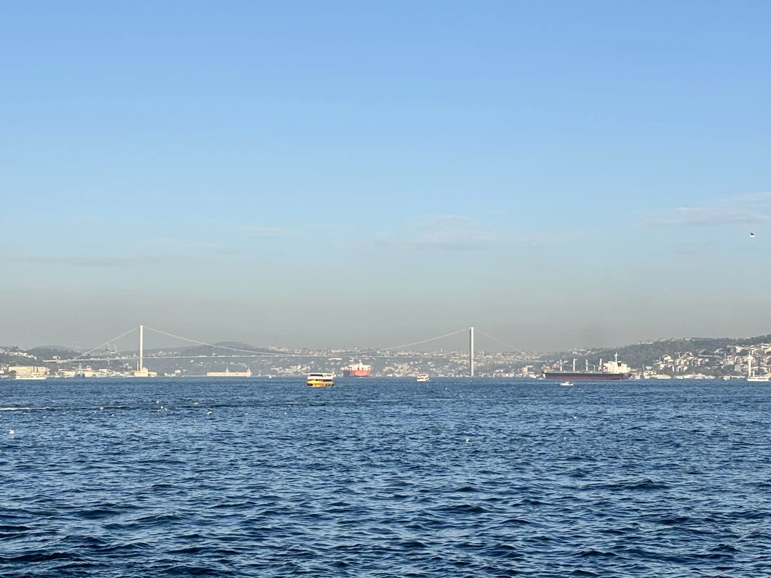 Замечательная экскурсия + очень много дополнительно информации про город, что посетить в первую очередь, где перекусить